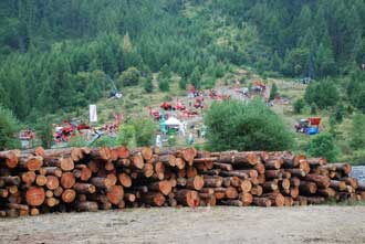 BOSCO E TERRITORIO VALSUSA FORESTE 