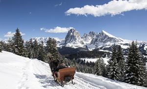 DOLOMITI