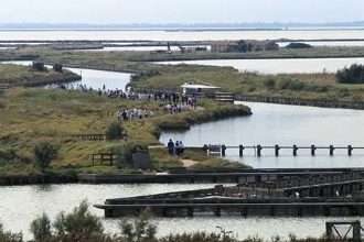 Delta Po comacchio