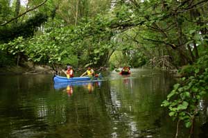 canoa fiume natura ambiente 