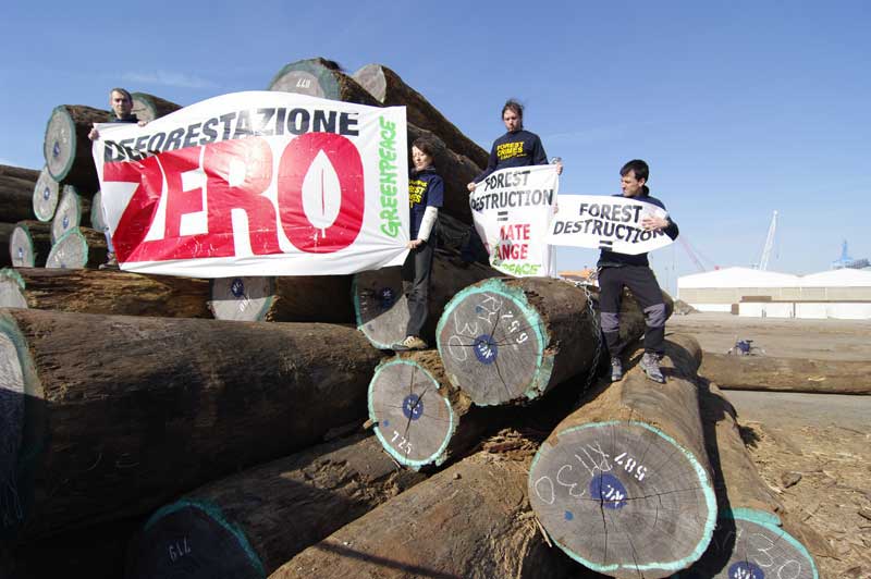 GREEN PEACE AMBIETE FORESTA LEGNO STAZIONE