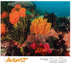 calendario greenpeace