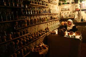 ponti presepe