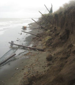 recinzione saline tarquinia